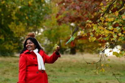 DSC_0489 (Large).JPG